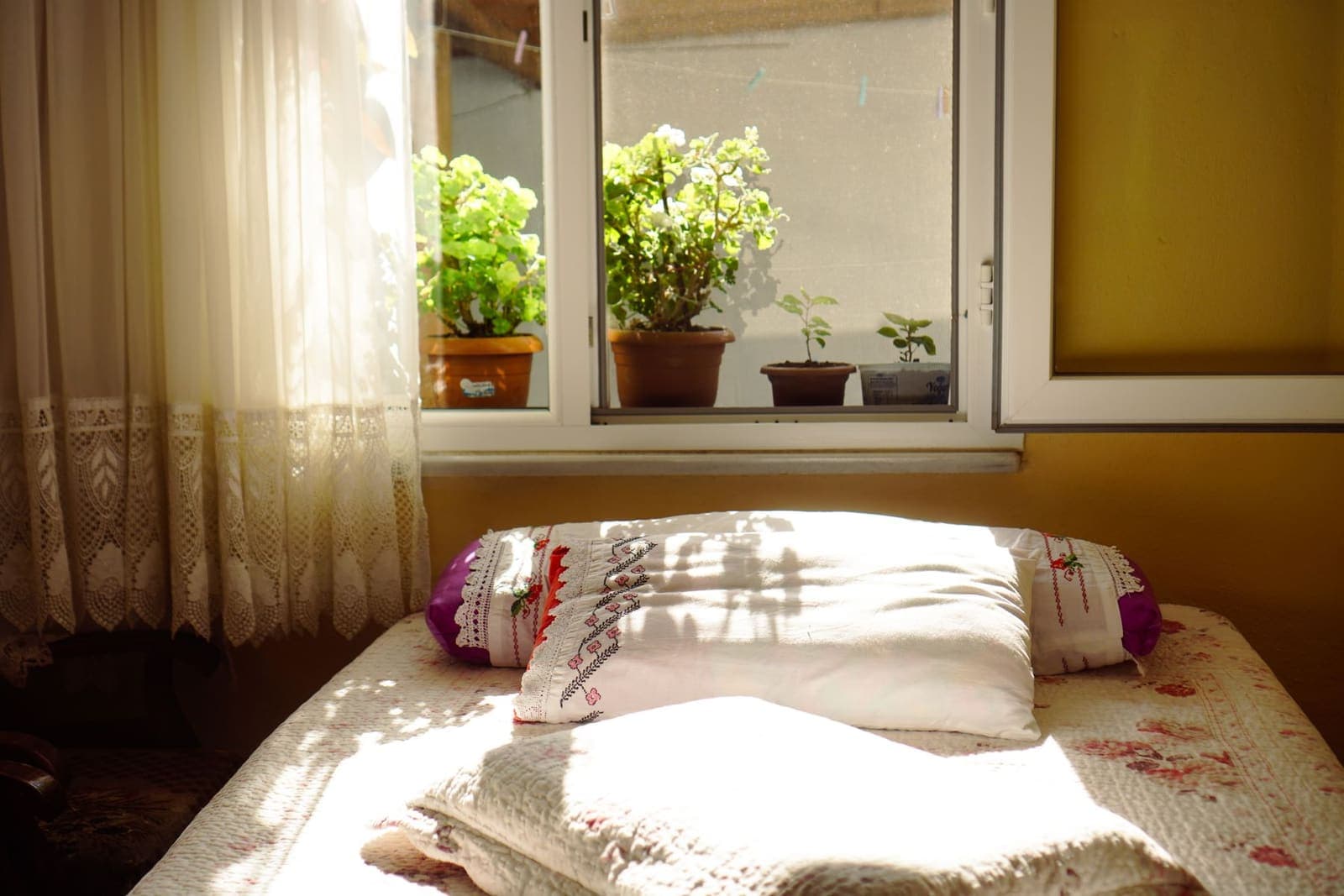 Chambre lumineuse et apaisante baignée de soleil, plantes vertes sur le rebord de la fenêtre